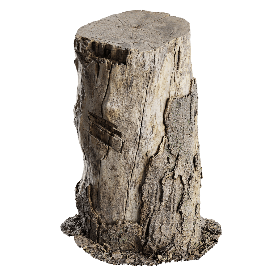 Tree Stump 019