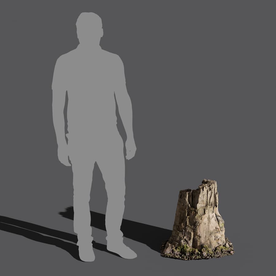 Tree Stump 024