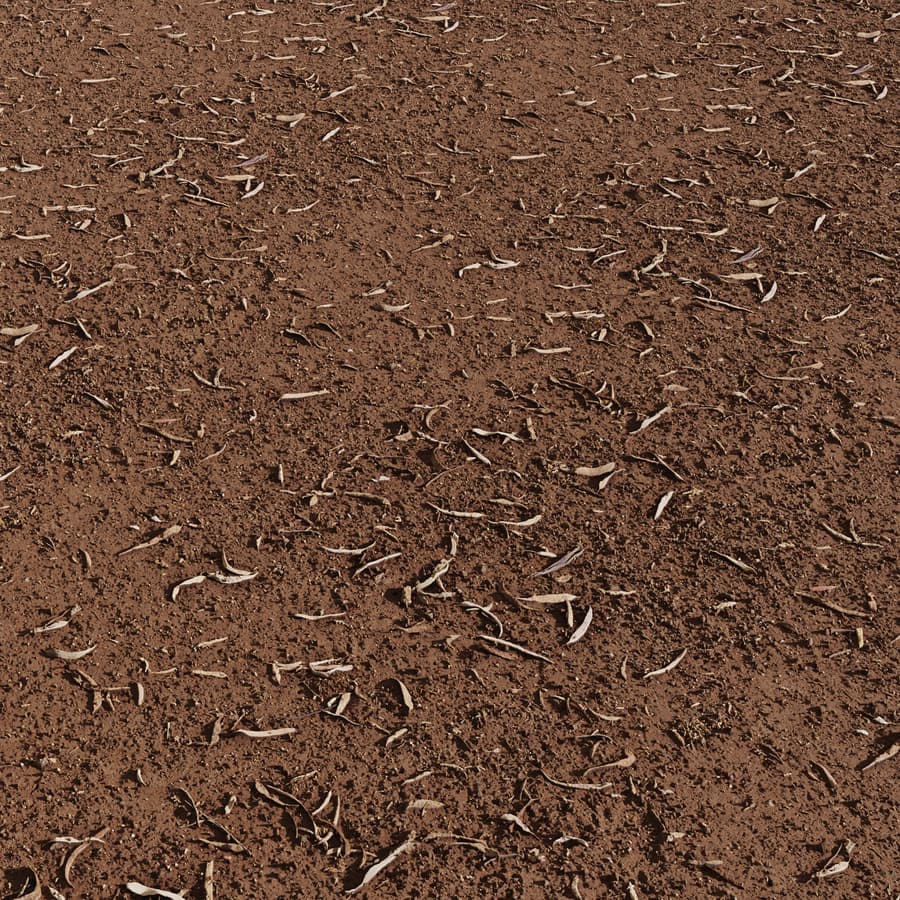 Ground Dirt Forest Debris 004