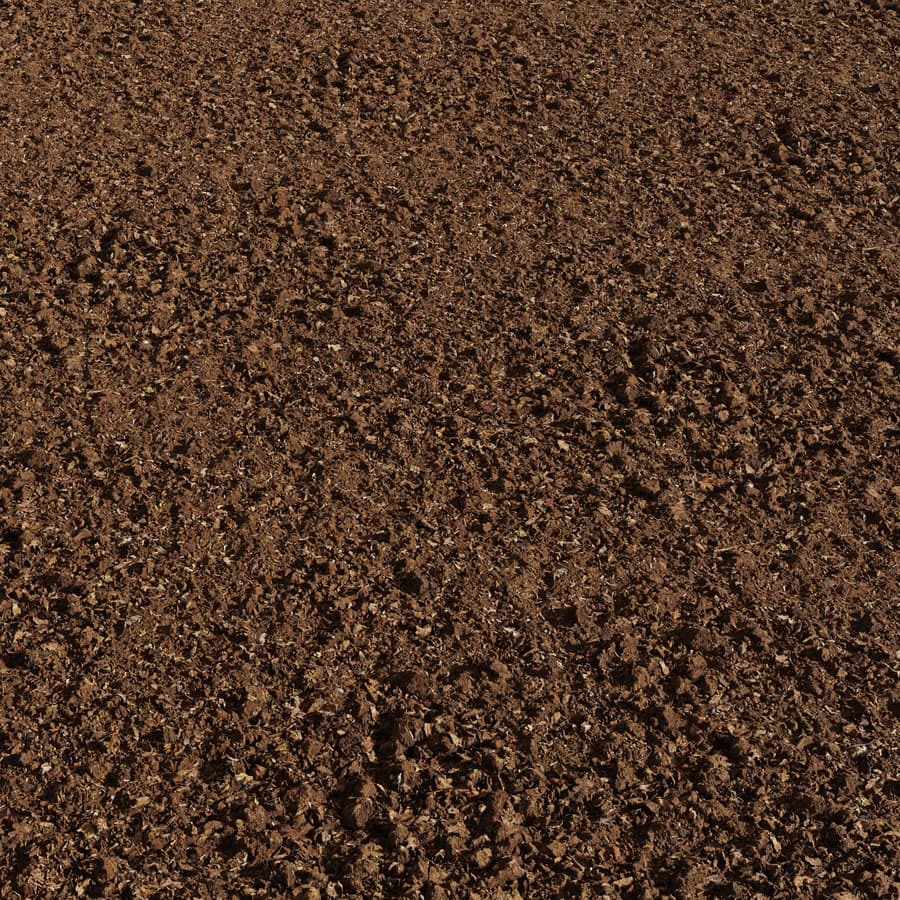 Ground Dirt Forest Debris 005