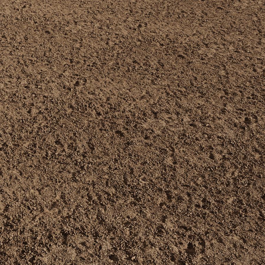 Ground Dirt Rocky 018