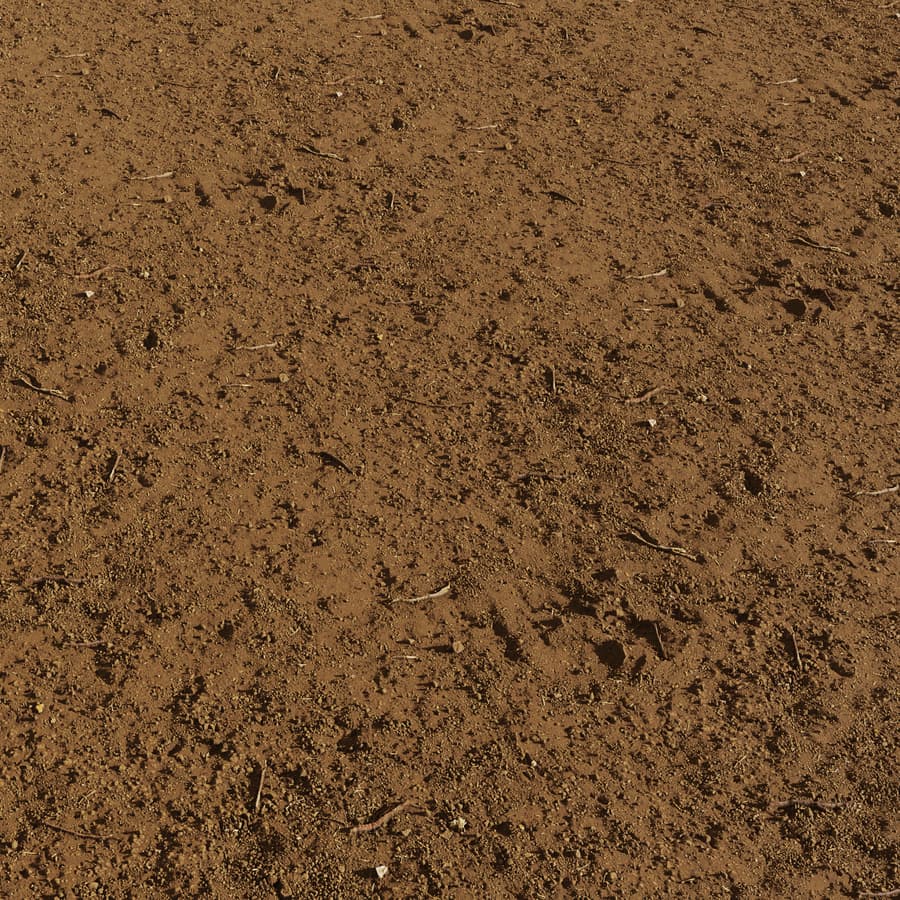 Ground Dirt Rocky 015