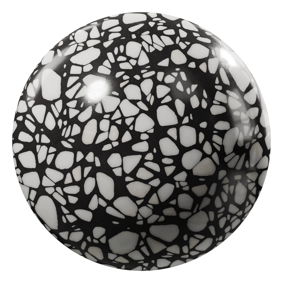 Terrazzo Texture, Black & White Slab