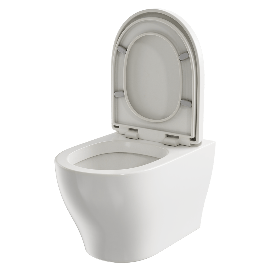 Wall Faced Toilet Model, Single Section